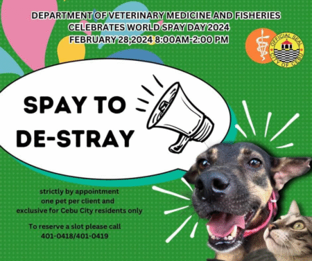 𝐏𝐄𝐓 𝐎𝐖𝐍𝐄𝐑𝐒 𝐒𝐀 𝐃𝐀𝐊𝐁𝐀𝐘𝐀𝐍, 𝐏𝐖𝐄𝐃𝐄 𝐍𝐀 𝐊𝐀𝐌𝐎𝐍𝐆 𝐌𝐀𝐆𝐏𝐀 𝐒𝐏𝐀𝐘!